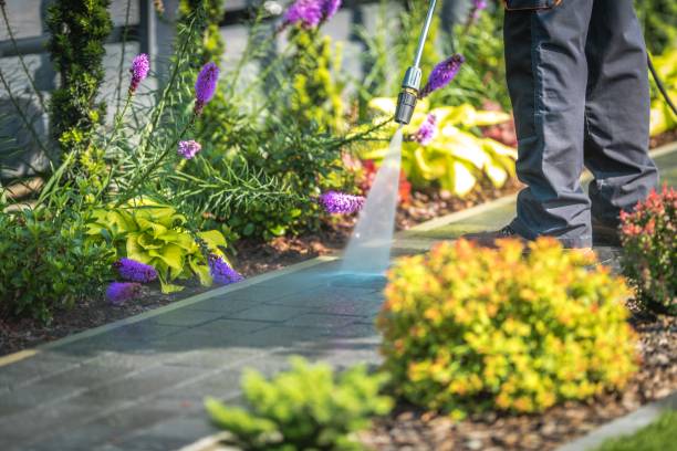 Trusted Mclendon Chisholm, TX Pressure Washing Services Experts