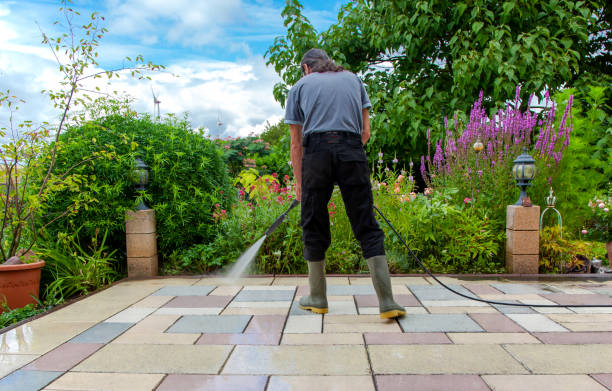Winterizing Services in Mclendon Chisholm, TX